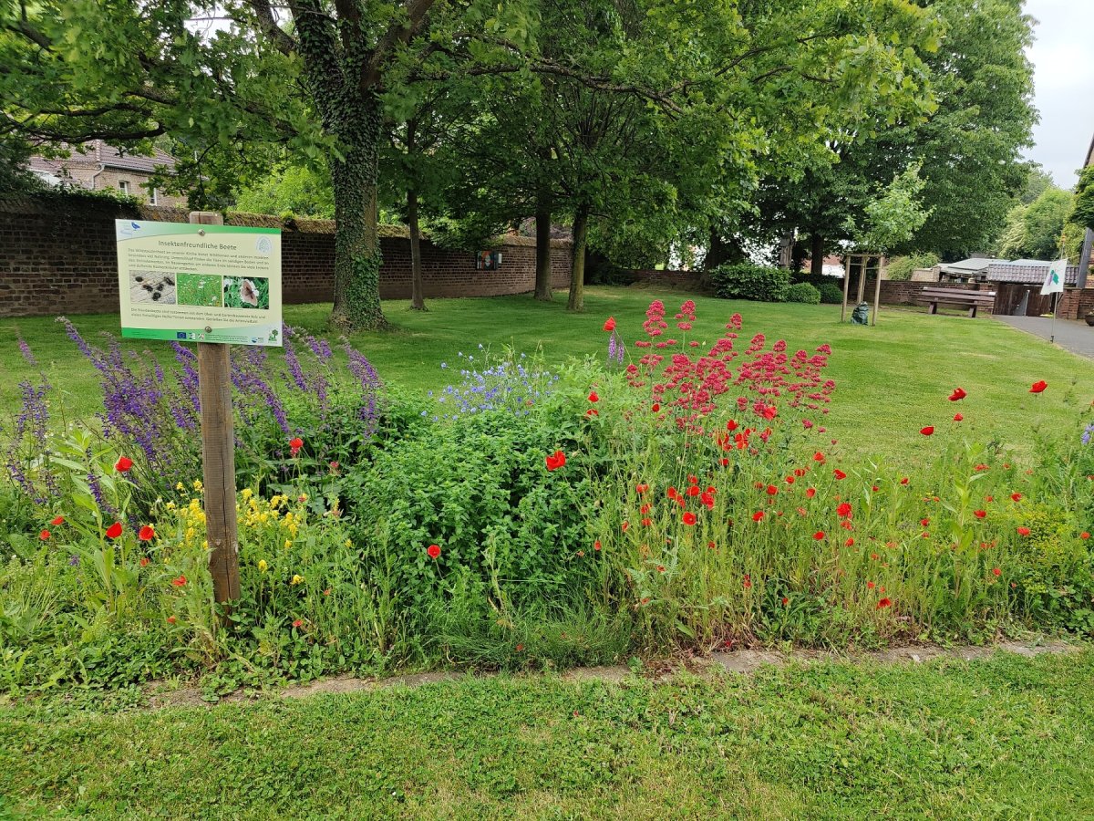 Im Vorgänger-Projekt "Na-Tür-lich Dorf" ist das Staudenbeet in Kelz, Vettweiß entstanden