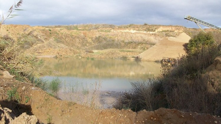 Kiesgrube: Sekundärlebensraum der Wechselkröte im Rheinland