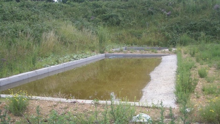 Betongewässer - für Wechselkröten gut geeignet Betongewässer