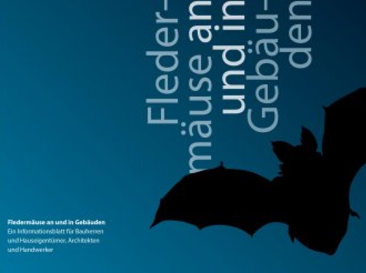 Titelseite der Fledermausbroschüre