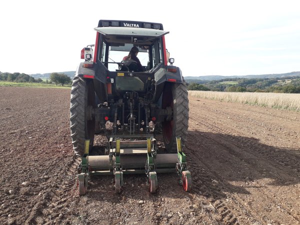 Das Saatgut der Wiesenpflanzen (hier im Bild die Aussaat vom „Gemeinen Odermennig“) wurde in der Pilotphase des Projekts von Landwirten zunächst auf Kleinflächen von etwa 1.000 m2 ausgebracht. Später kann der Anbau auch auf größeren Schlägen stattfinden.